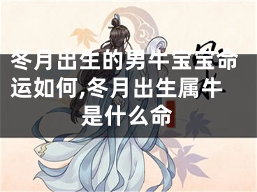 冬月出生的男牛宝宝命运如何,冬月出生属牛是什么命