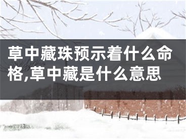 草中藏珠预示着什么命格,草中藏是什么意思