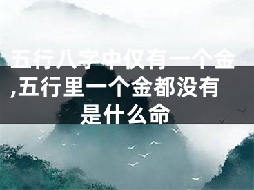 五行八字中仅有一个金,五行里一个金都没有是什么命