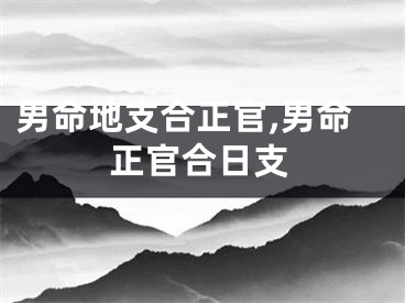 男命地支合正官,男命正官合日支