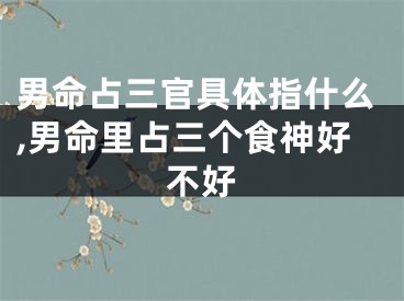 男命占三官具体指什么,男命里占三个食神好不好