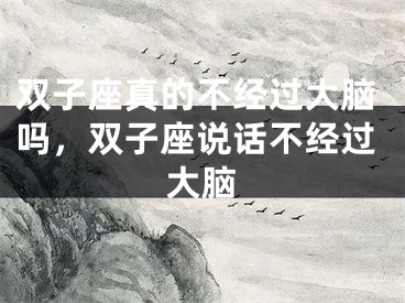 双子座真的不经过大脑吗，双子座说话不经过大脑