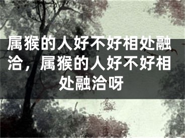 属猴的人好不好相处融洽，属猴的人好不好相处融洽呀