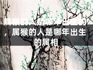 属猴的人是哪年出生的，属猴的人是哪年出生的属相