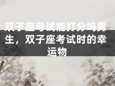 双子座考试能打分吗男生，双子座考试时的幸运物