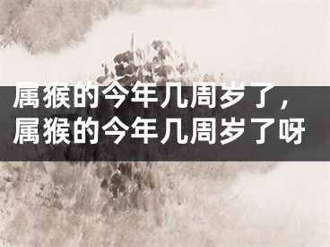 属猴的今年几周岁了，属猴的今年几周岁了呀