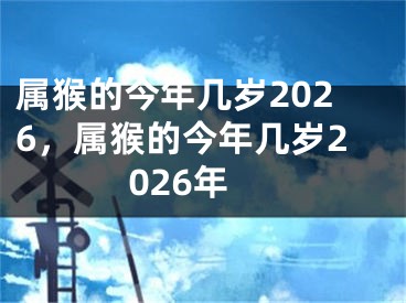 属猴的今年几岁2026，属猴的今年几岁2026年