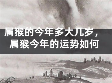 属猴的今年多大几岁，属猴今年的运势如何
