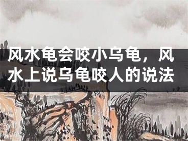 风水龟会咬小乌龟，风水上说乌龟咬人的说法