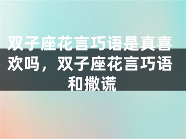 双子座花言巧语是真喜欢吗，双子座花言巧语和撒谎