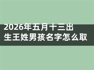 2026年五月十三出生王姓男孩名字怎么取