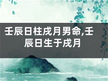 壬辰日柱戌月男命,壬辰日生于戌月