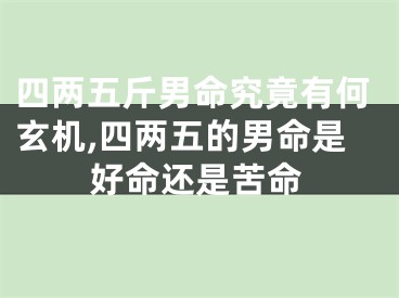 四两五斤男命究竟有何玄机,四两五的男命是好命还是苦命