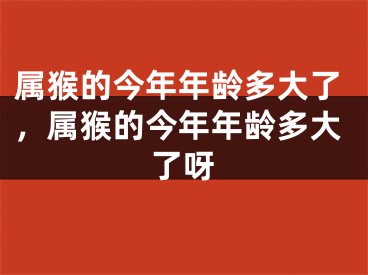 属猴的今年年龄多大了，属猴的今年年龄多大了呀