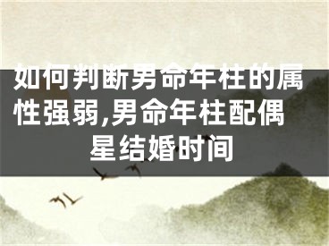 如何判断男命年柱的属性强弱,男命年柱配偶星结婚时间