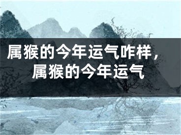 属猴的今年运气咋样，属猴的今年运气