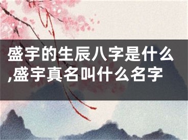 盛宇的生辰八字是什么,盛宇真名叫什么名字