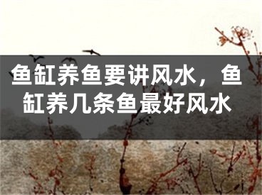 鱼缸养鱼要讲风水，鱼缸养几条鱼最好风水