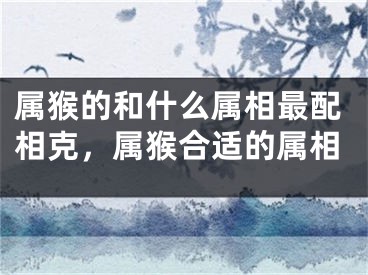 属猴的和什么属相最配相克，属猴合适的属相