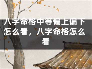 八字命格中等偏上偏下怎么看，八字命格怎么看