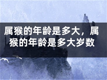 属猴的年龄是多大，属猴的年龄是多大岁数