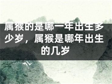 属猴的是哪一年出生多少岁，属猴是哪年出生的几岁