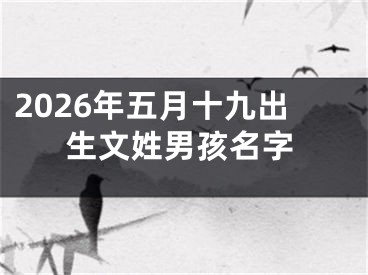 2026年五月十九出生文姓男孩名字