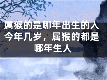 属猴的是哪年出生的人今年几岁，属猴的都是哪年生人