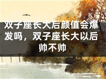 双子座长大后颜值会爆发吗，双子座长大以后帅不帅