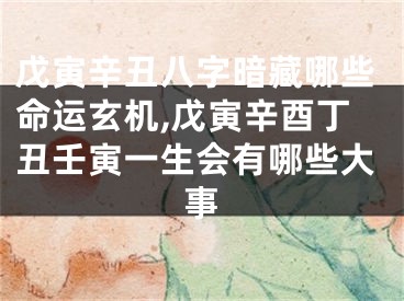 戊寅辛丑八字暗藏哪些命运玄机,戊寅辛酉丁丑壬寅一生会有哪些大事