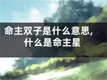 命主双子是什么意思,什么是命主星