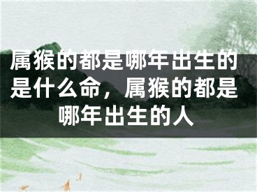 属猴的都是哪年出生的是什么命，属猴的都是哪年出生的人