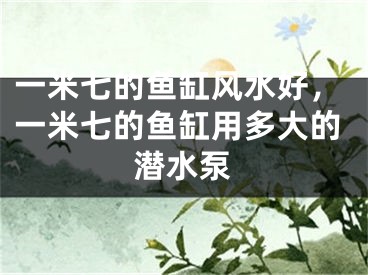 一米七的鱼缸风水好，一米七的鱼缸用多大的潜水泵