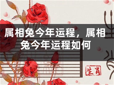 属相兔今年运程，属相兔今年运程如何