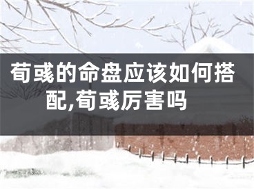 荀彧的命盘应该如何搭配,荀彧厉害吗