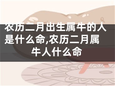农历二月出生属牛的人是什么命,农历二月属牛人什么命