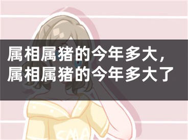 属相属猪的今年多大，属相属猪的今年多大了