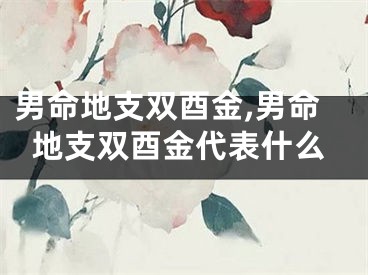 男命地支双酉金,男命地支双酉金代表什么
