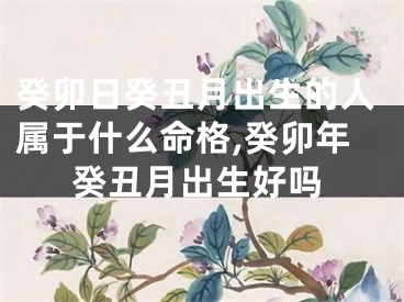 癸卯日癸丑月出生的人属于什么命格,癸卯年癸丑月出生好吗