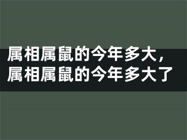 属相属鼠的今年多大,属相属鼠的今年多大了