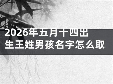 2026年五月十四出生王姓男孩名字怎么取