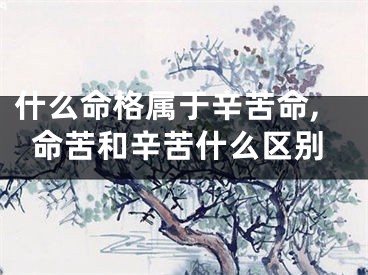 什么命格属于辛苦命,命苦和辛苦什么区别
