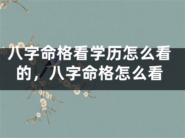 八字命格看学历怎么看的，八字命格怎么看