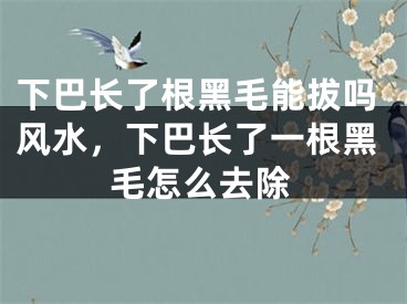 下巴长了根黑毛能拔吗风水，下巴长了一根黑毛怎么去除