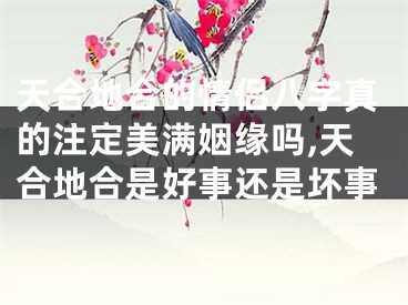 天合地合的情侣八字真的注定美满姻缘吗,天合地合是好事还是坏事
