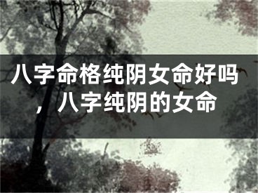 八字命格纯阴女命好吗，八字纯阴的女命
