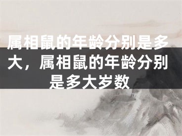 属相鼠的年龄分别是多大，属相鼠的年龄分别是多大岁数