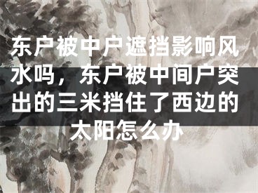 东户被中户遮挡影响风水吗，东户被中间户突出的三米挡住了西边的太阳怎么办
