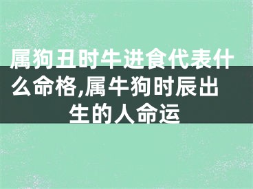 属狗丑时牛进食代表什么命格,属牛狗时辰出生的人命运