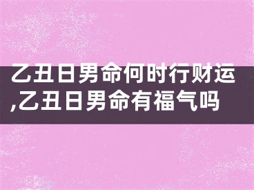 乙丑日男命何时行财运,乙丑日男命有福气吗